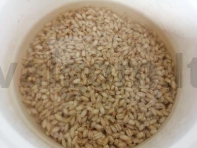 Perlo košė su paslaptimi Žingsnis 1