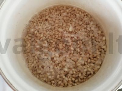 Perlo košė su paslaptimi Žingsnis 2