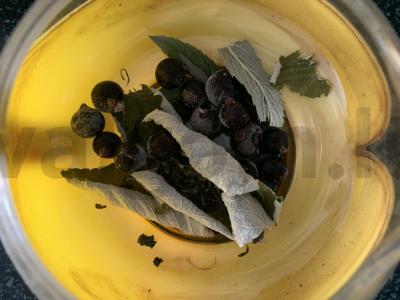 Vaisių arbata su aviečių lapais ir juodųjų serbentų uogomis Žingsnis 2