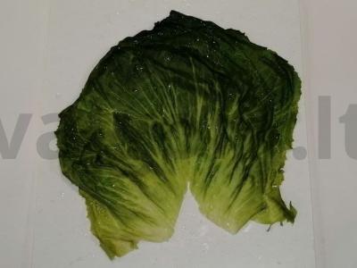 Savojaus kopūstų golubcai su grietine Žingsnis 2