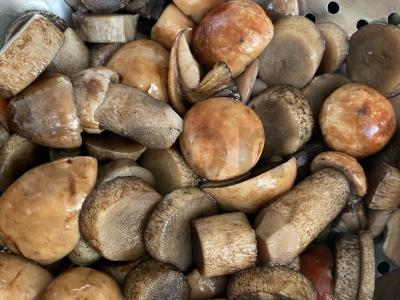 Vegetariškas grybų sriuba su voveraitėmis Žingsnis 1