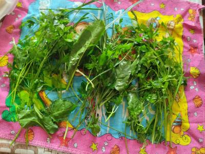 Žaliasis padažas „Sveikata“ Žingsnis 2