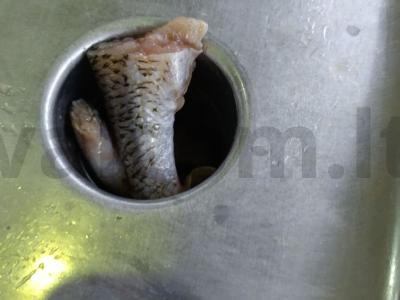 Žuvies faršas su svogūnais ir šonine Žingsnis 3