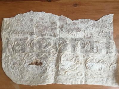 Daržovių šašlykas „Dieta“ Žingsnis 5