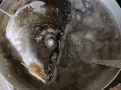 Žuvienė su ryžiais Žingsnis 1