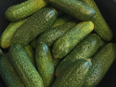 Marinuoti agurkai per 15 minučių Žingsnis 1