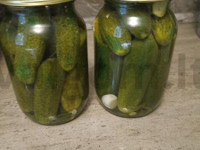 Marinuoti agurkai per 15 minučių pagrindine nuotrauka