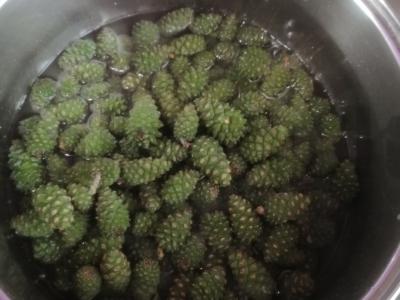 Vitamininė uogienė iš pušų kankorėžių Žingsnis 3