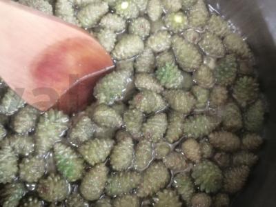 Vitamininė uogienė iš pušų kankorėžių Žingsnis 4