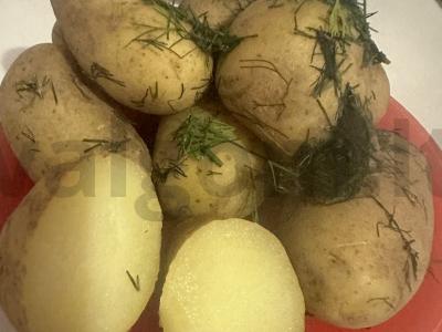 Naudingas bulvių gaminimo variantas pagrindine nuotrauka