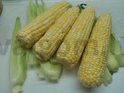 Virta kreminė kukurūzai Žingsnis 1