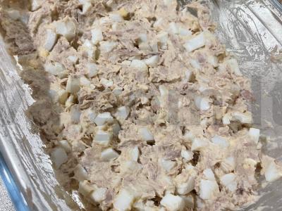 Salotos su tunu, vištienos kiaušiniu ir majonezu pagrindine nuotrauka