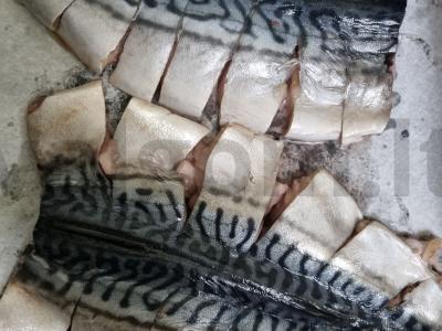 „Vau!“ skumbrė Žingsnis 1