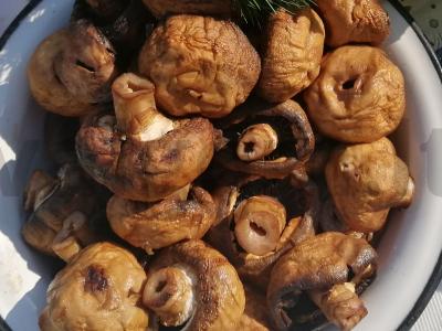 Griliaus pievagrybiai pagrindine nuotrauka