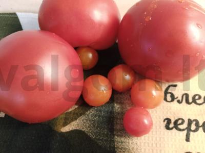 Džiovinti pomidorai su česnaku Žingsnis 1