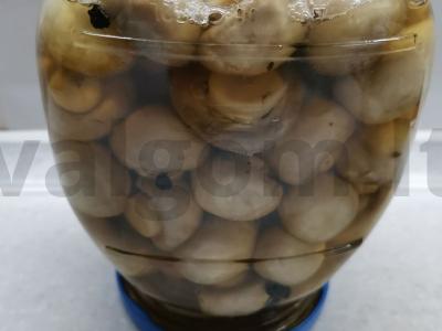 Marinuoti pievagrybiai su prieskoniais Žingsnis 6