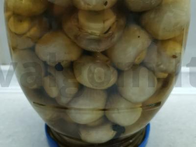 Marinuoti pievagrybiai su prieskoniais pagrindine nuotrauka