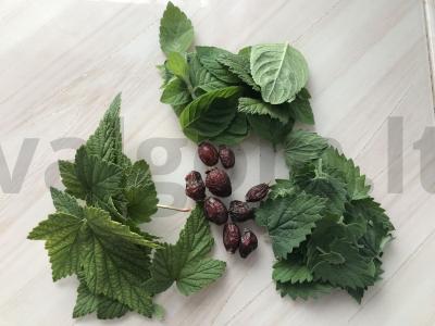 Vitaminų arbata su žolelėmis ir erškėtuogėmis Žingsnis 1