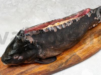 Karšis, įdarytas kalakutienos filė Žingsnis 2