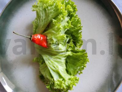 „Sveika“ šašlykinė pagrindine nuotrauka