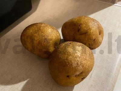 Kaimiška bulvė Žingsnis 1