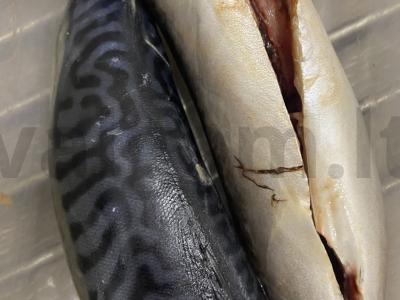 Skumbrija ant grotelių Žingsnis 1