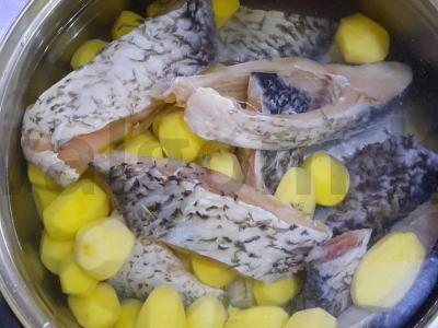 Šaltiška žuvis Žingsnis 1