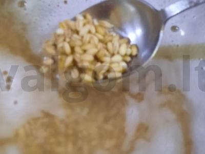 Šaltiška žuvis Žingsnis 5