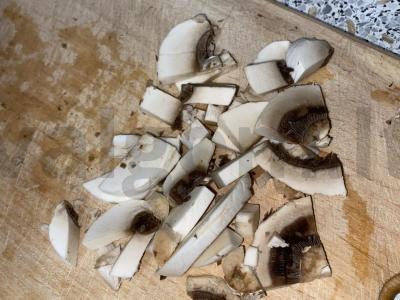 Padažas „Grybų beprotybė“ Žingsnis 1