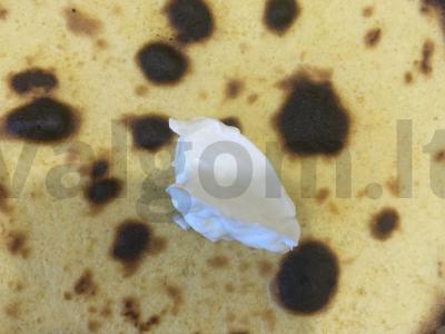 Tortilija su bekonu ir graikišku jogurtu Žingsnis 4