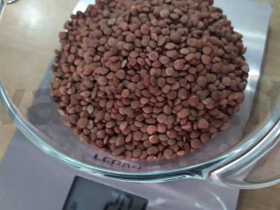 Lentilinis sriuba Žingsnis 1