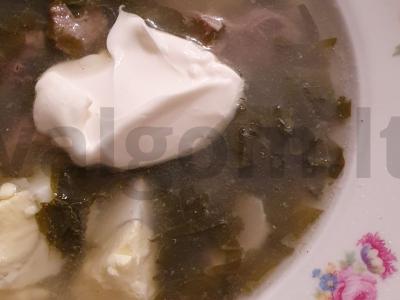 Špinatų sriuba su kalakutiena pagrindine nuotrauka