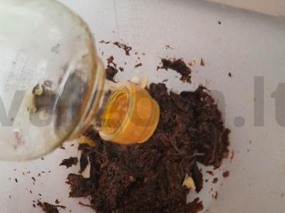 Džiovintų grybų ikra Žingsnis 4