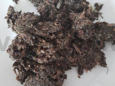 Džiovintų grybų ikra pagrindine nuotrauka