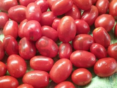 Džiovinti pomidorai Žingsnis 1