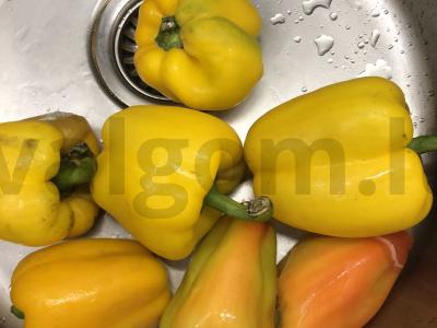 Namų lečo Žingsnis 1