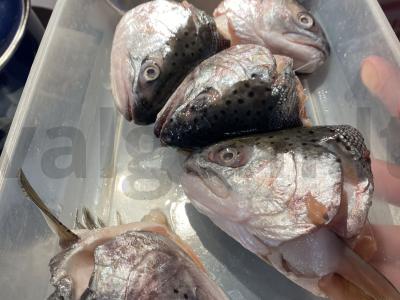 Upėtakio sriuba Žingsnis 3