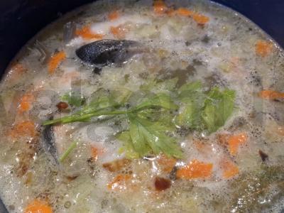 Upėtakio sriuba Žingsnis 5