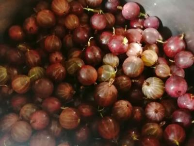 Agrastų džemas su kondensuotu pienu Žingsnis 1