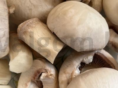 Makaronai su sūriu ir grybais Žingsnis 1