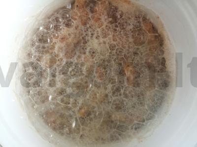 Karališkos krevetės Žingsnis 6