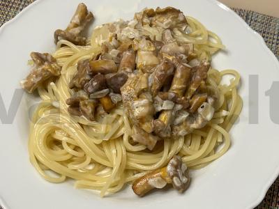 Sezoninė grietinėlės pasta su voveraitėmis pagrindine nuotrauka