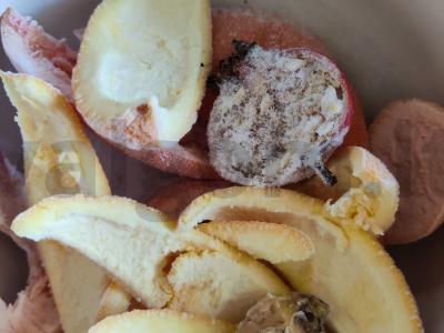 Citrusinė užpiltinė Žingsnis 3