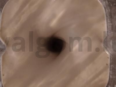 „Varškytė“ iš žalios grikių Žingsnis 2