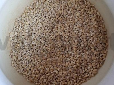 Birios perlų košė su sviestu ir žolelėmis Žingsnis 1