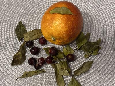 Gaivus žaliasis arbata su apelsinu ir erškėtuogėmis Žingsnis 2