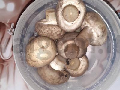 Lęšių paštetas su pievagrybiais Žingsnis 2