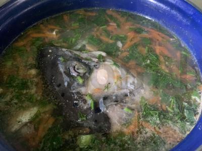 Namų stiliaus lašišos žuvienė pagrindine nuotrauka