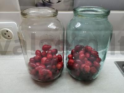 Šaltalankių kompotas žiemai Žingsnis 2