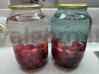 Šaltalankių kompotas žiemai Žingsnis 3